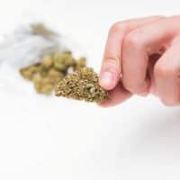 Quels sont les meilleurs grossistes CBD en Suisse en 2026 ?